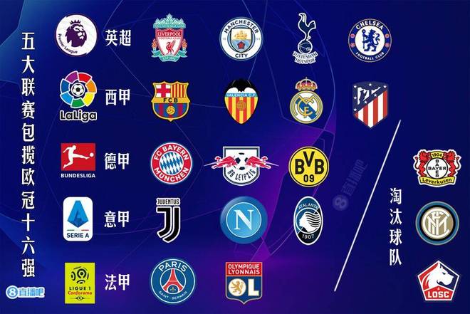 确保肌力增 确保肌力增